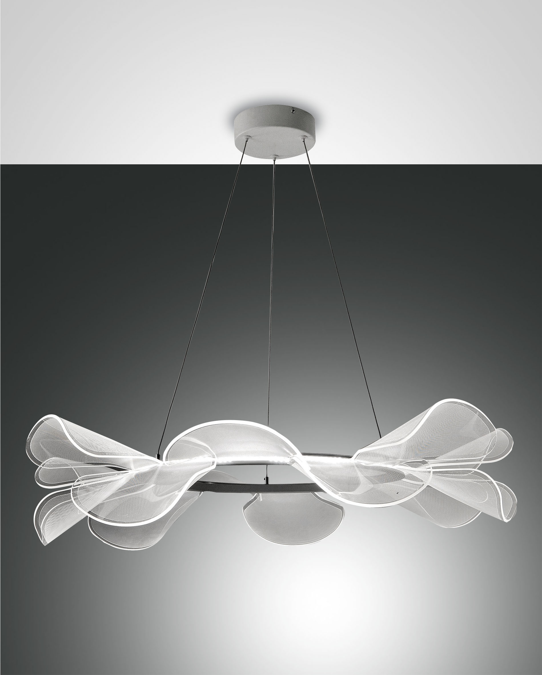 SYLVIE- Fabas luce