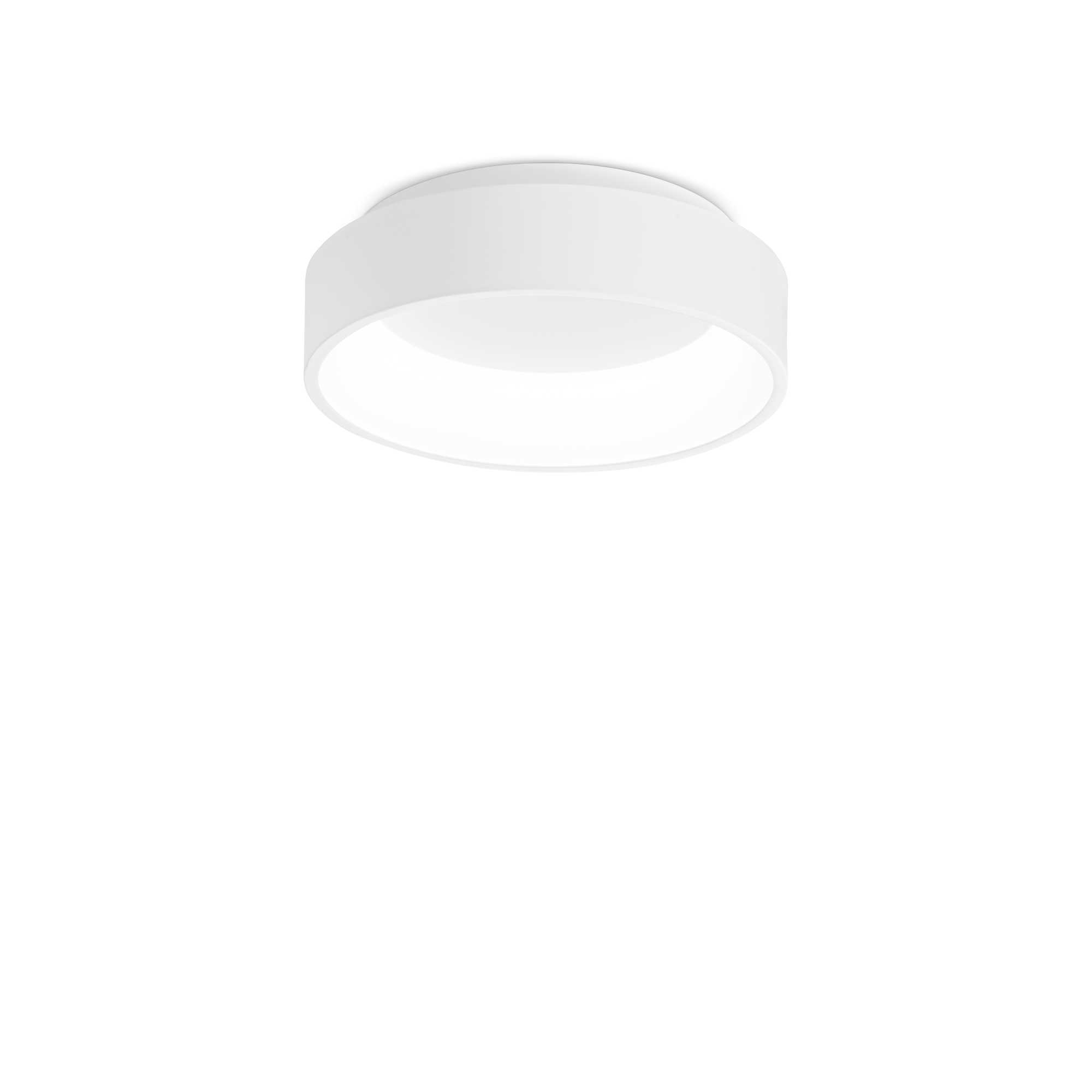293776_WEB001_ZIGGY_PL_D030_BIANCO