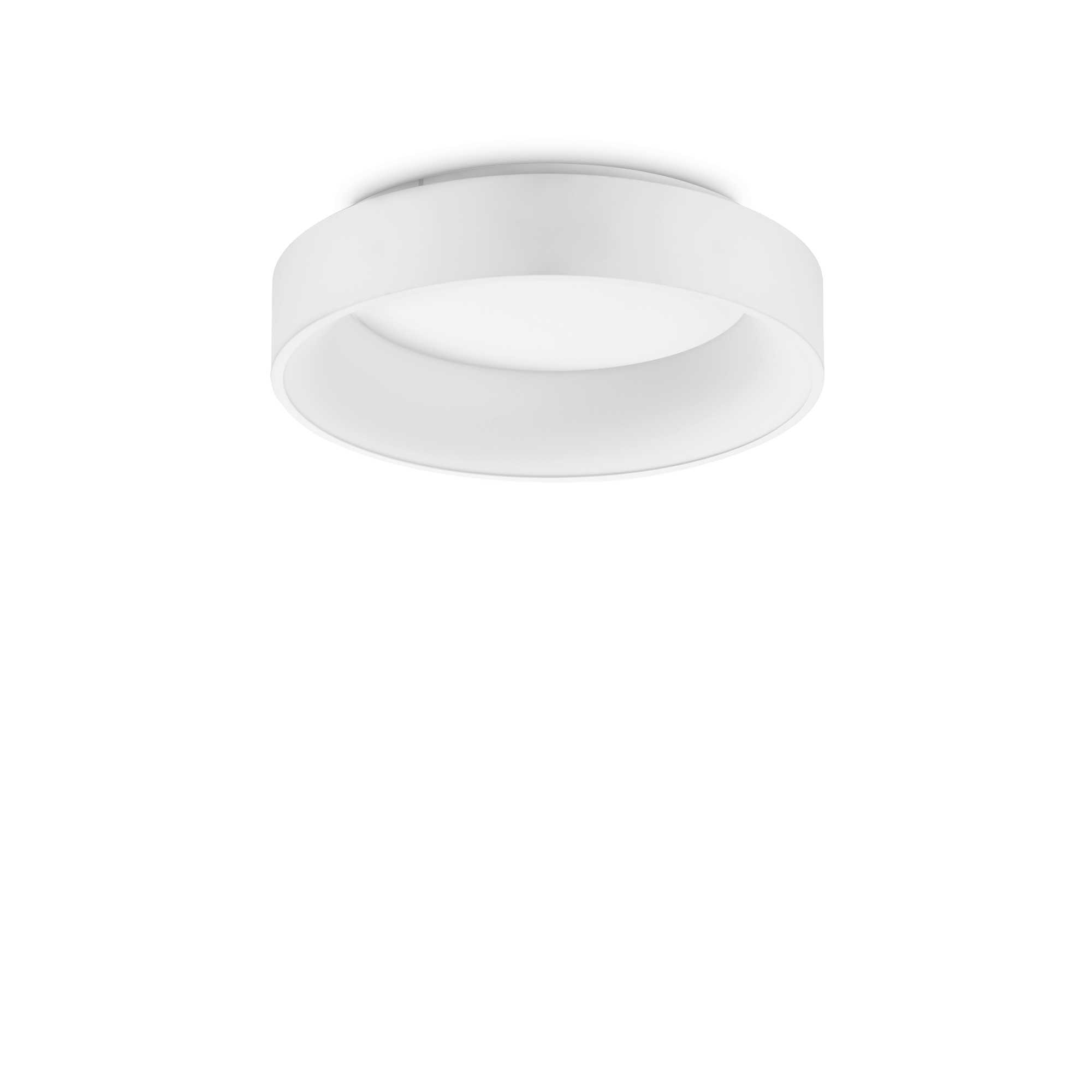 293783_WEB001_ZIGGY_PL_D045_BIANCO