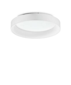 293790_WEB001_ZIGGY_PL_D060_BIANCO