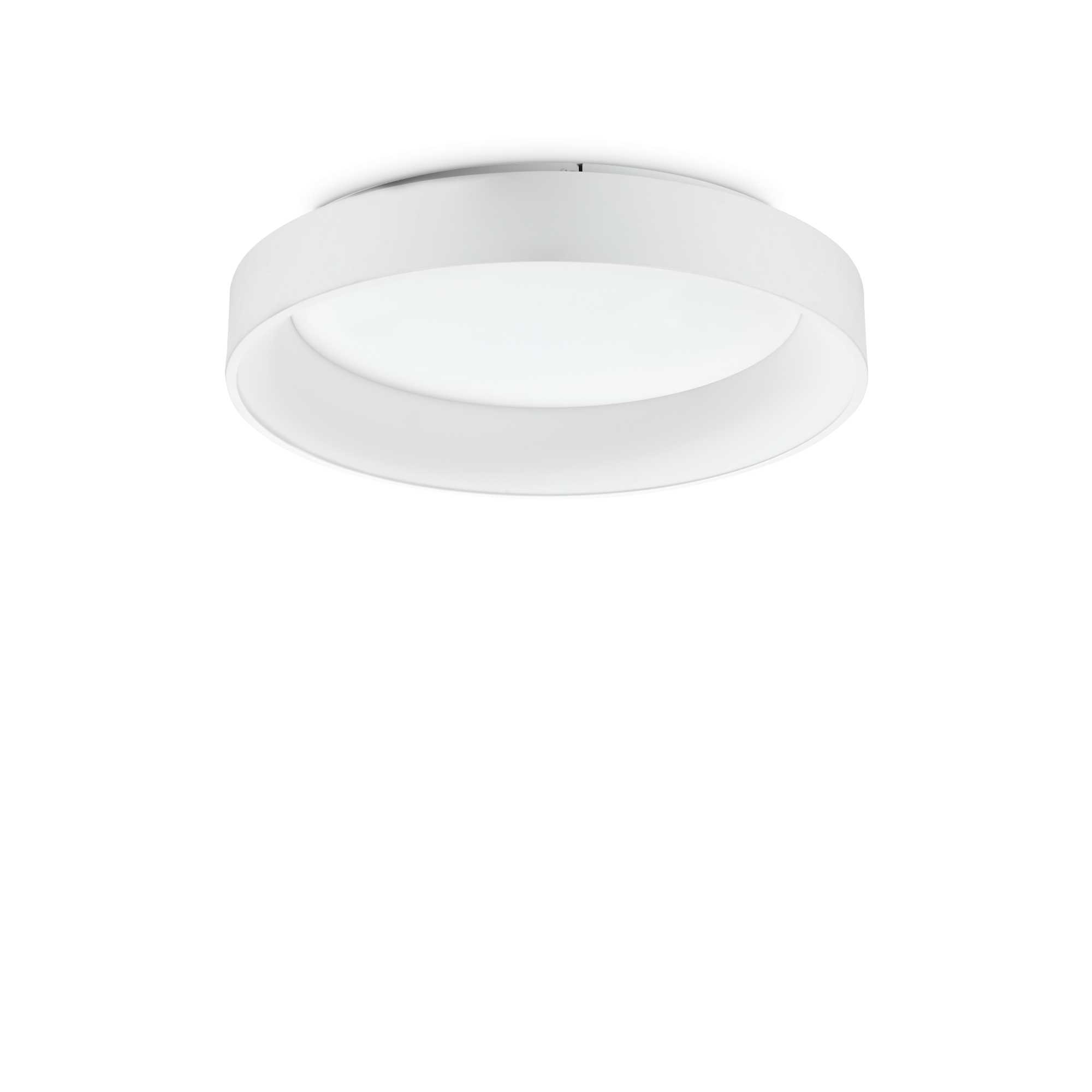 293790_WEB001_ZIGGY_PL_D060_BIANCO