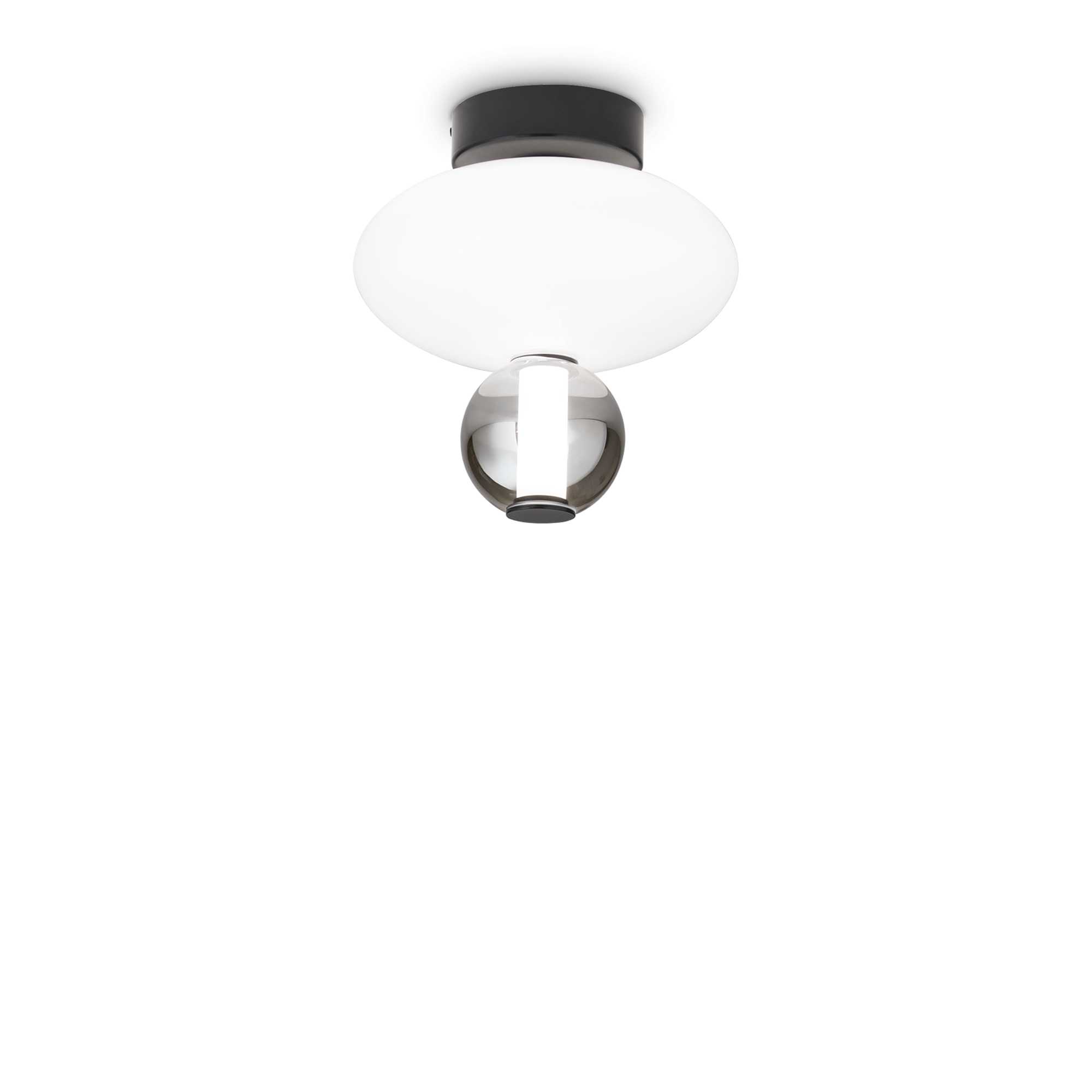 314228_WEB001_LUMIERE2_PL
