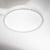 318264_ZOO002_RAY_PL_D40_BIANCO