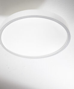 318264_ZOO002_RAY_PL_D40_BIANCO