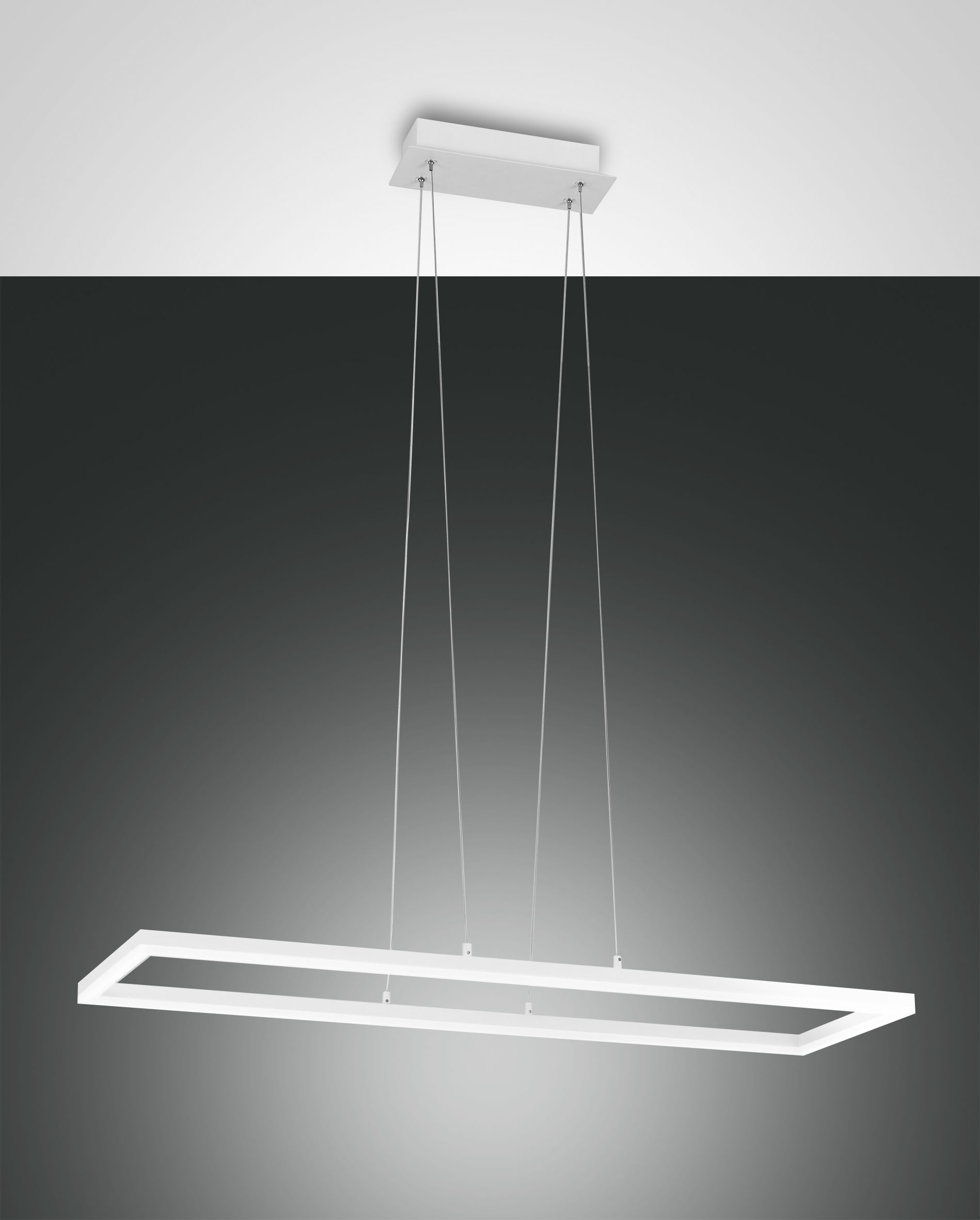 BARD Fabas Luce