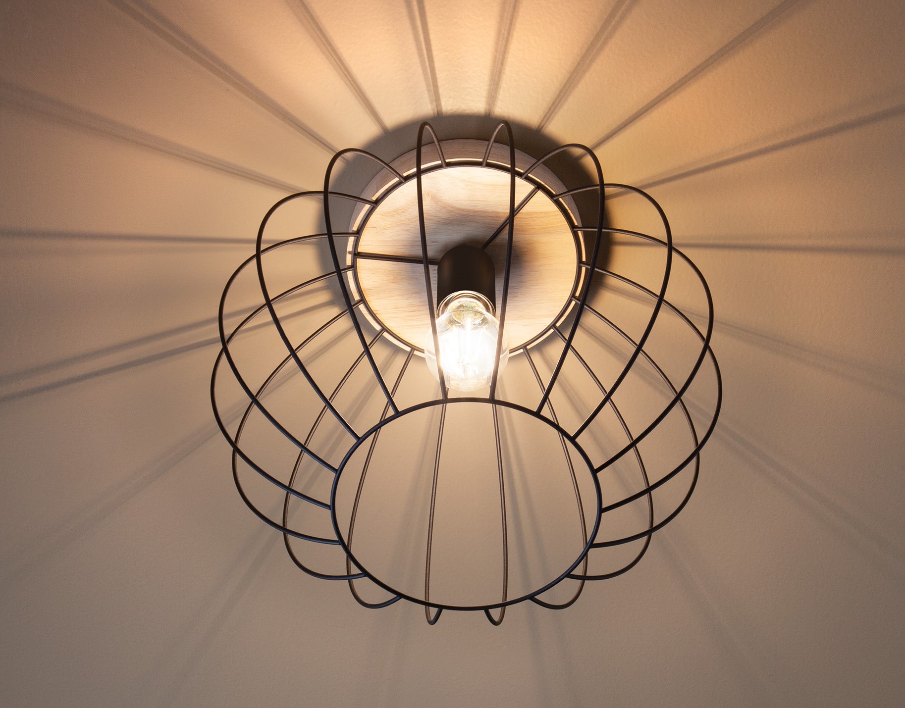TRELLIS -Smarter - Redo - immagine 2
