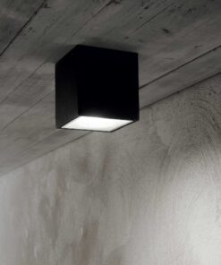 251530_EMO001_TECHO_PL1_BIG_NERO