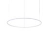258768_WEB001_HULAHOOP_SP_D081