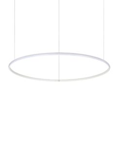 258768_WEB001_HULAHOOP_SP_D081