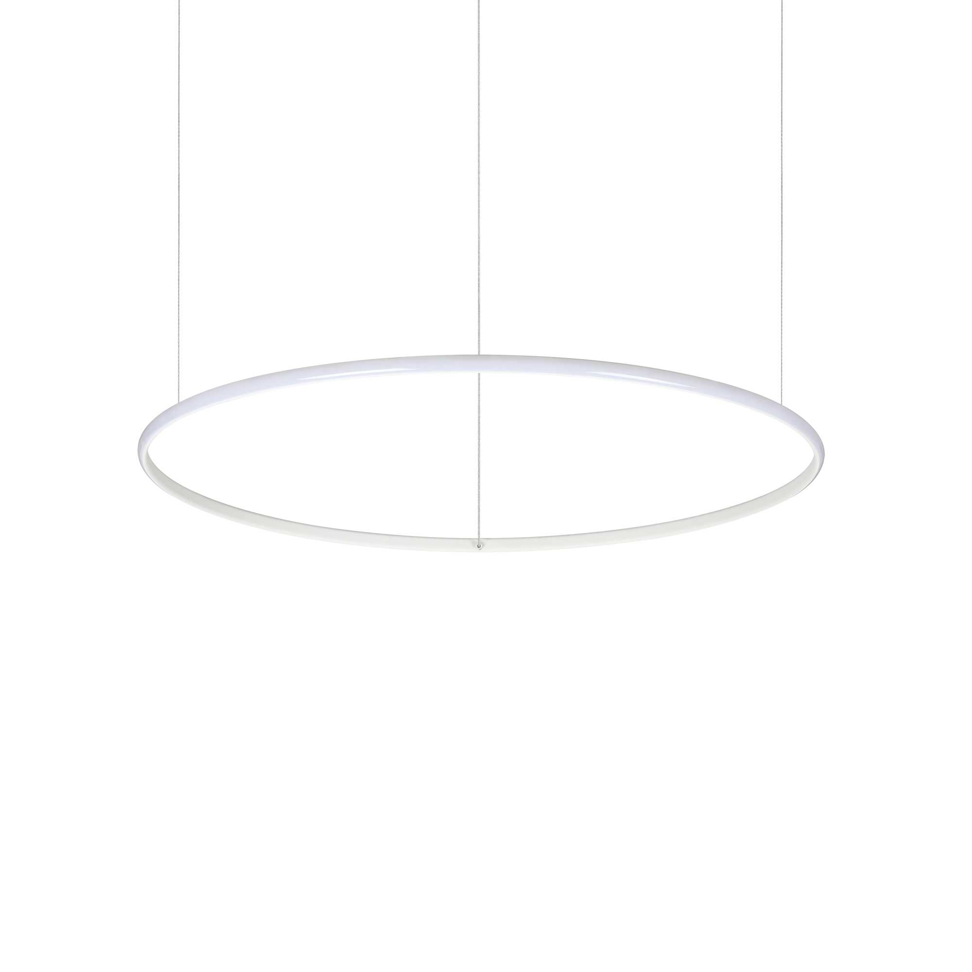 258768_WEB001_HULAHOOP_SP_D081