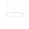 258775_WEB001_HULAHOOP_SP_D061